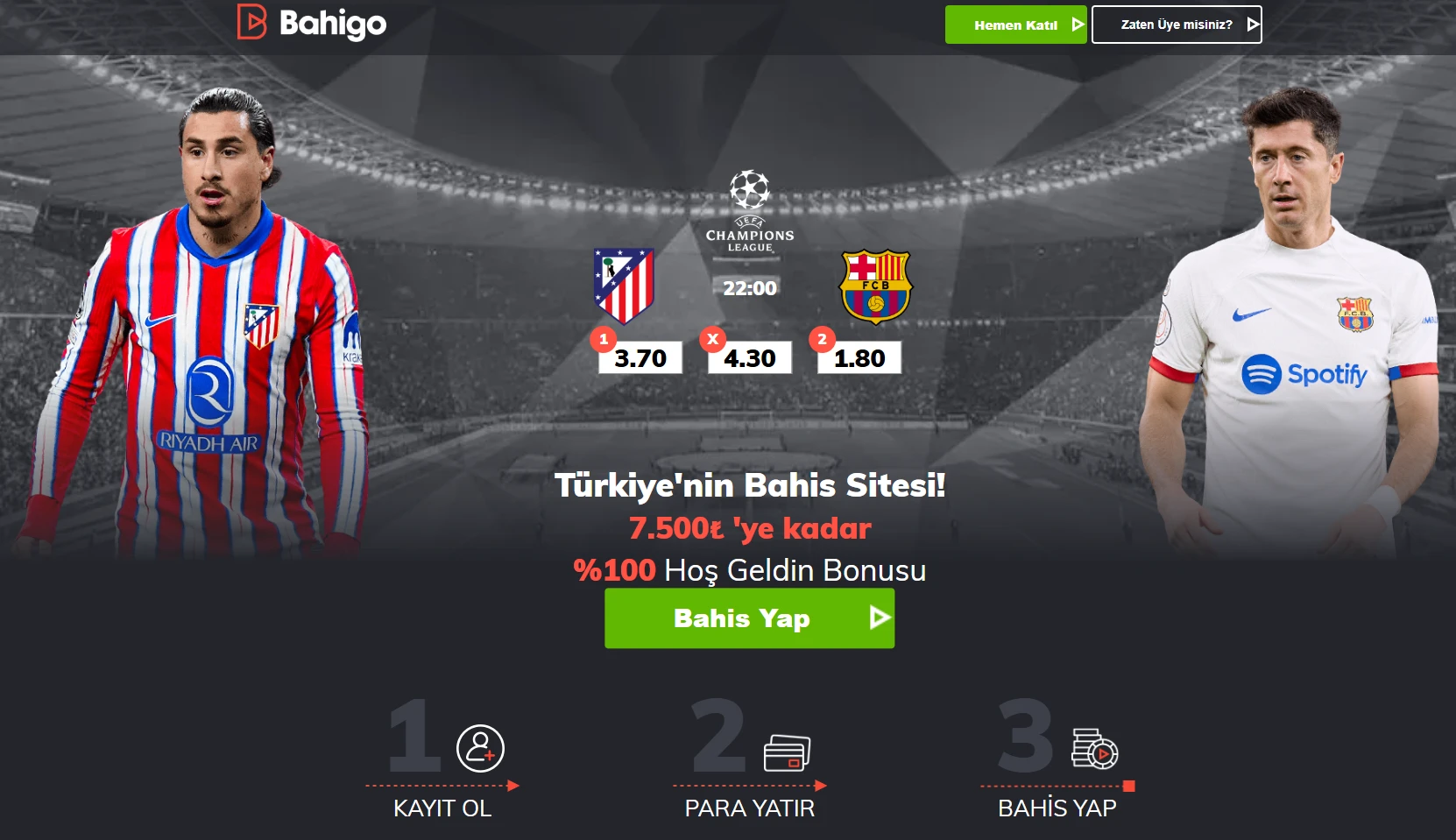 Bahigo Ekran Görüntüsü